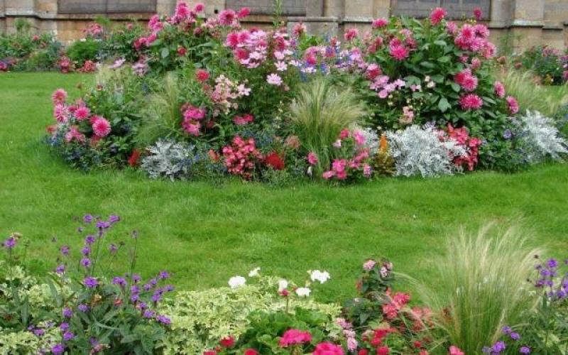 Schemes of flower beds of perennials with descriptions of flowers